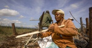 ways to cut back on sugar without feeling deprived